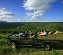 Game Drive at River Bend Lodge